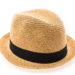Light Brown Hat