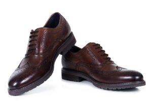 Dark Brown Male Shoe
