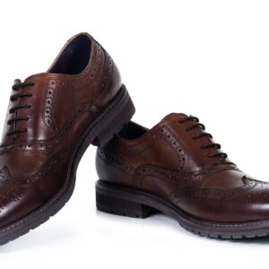 Dark Brown Male Shoe